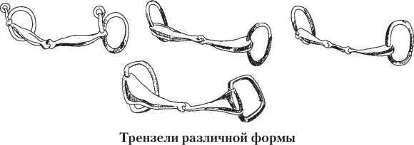 Трензели различной формы Основная задача работы на корде в период заездки - фото 39