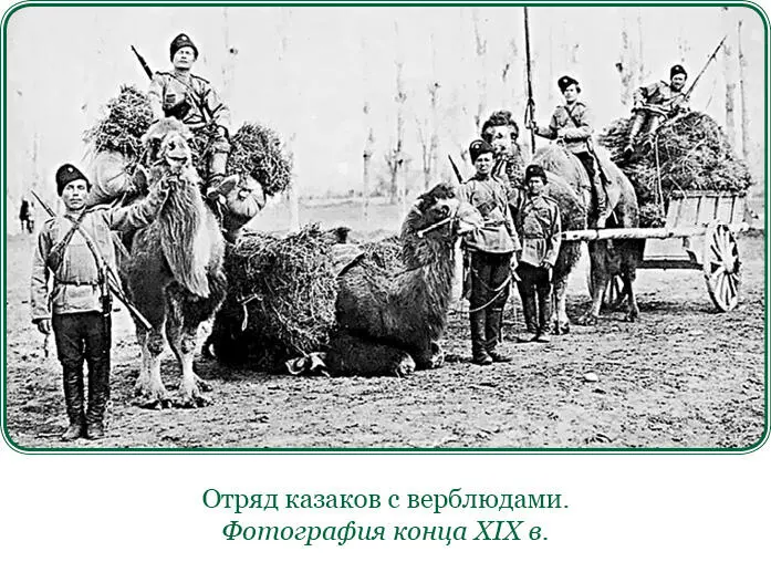 Разговор невольно перешел на минувшую кампанию и Михаил Дмитриевич заметно - фото 199