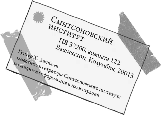 а вовсе даже похититель детей из Северной Дакоты Так что я добавил чтоб сбить - фото 5