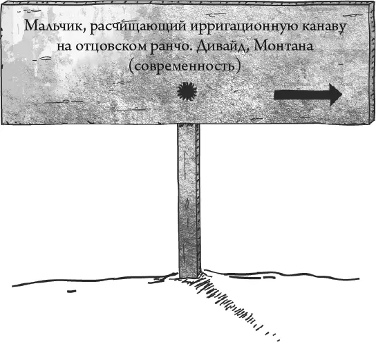 43 Хотя доктор Клэр сформулировала это как вопрос мы все знали что так оно и - фото 87