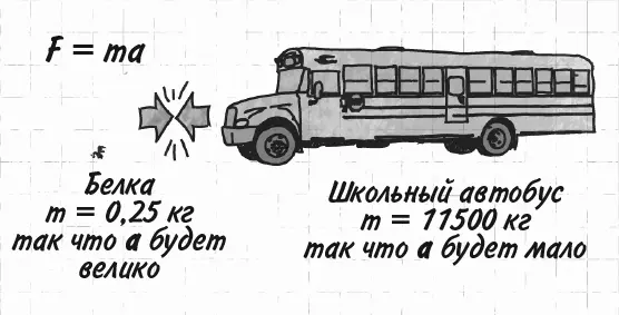 Равные и противонаправленные силы Из блокнота З29 Даже прыгая на земле вы тем - фото 143