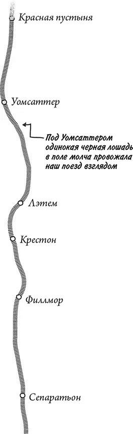 Невероятное путешествие мистера Спивета - фото 150