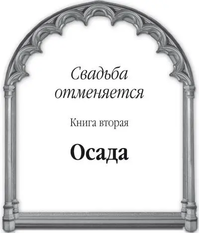 Вера Чиркова Свадьба отменяется Книга вторая Осада Глава 1 Набирающее силу - фото 1