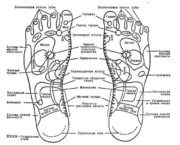 Рис 21 Проекции органов и участков тела на поверхность стоп Полезно применить - фото 37