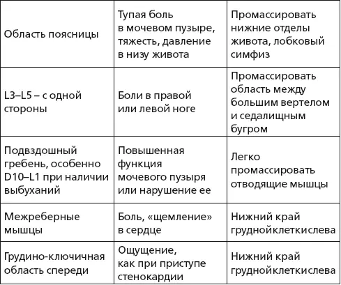 Методика и техника классического массажа К основным приемам ручного массажа - фото 47