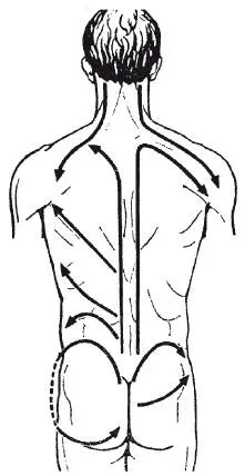 Рис 60 Направление основных массажных движений в области спины поясницы - фото 88