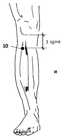 Рис 27 ж з иТочкиустья Точку 9 сяохайморе тонкого кишечника - фото 59
