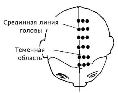 Рис 29 аЗоны головы и шеи К 6 точкам средней линии добавляем еще по две - фото 65