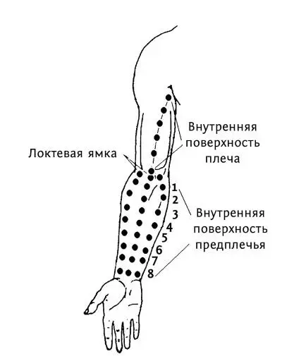 Рис 212 аТочки руки При обычном медицинском массаже локтевые сгибы и сгибы - фото 77