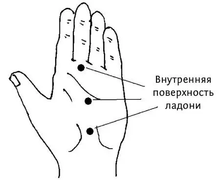 Рис 212 бТочки руки Мысленно проведите на ладони линию от основания - фото 79