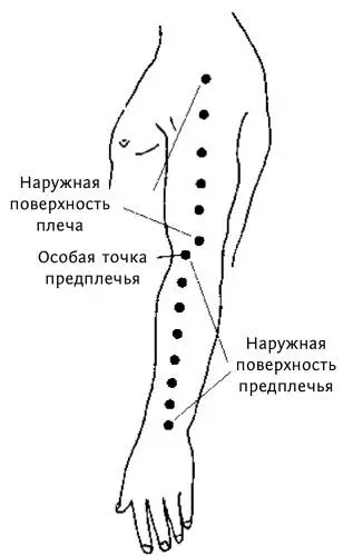 Рис 212 вТочки руки Восемь точек наружной стороны предплечья расположены на - фото 80