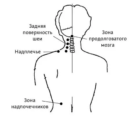 Рис 55 аТочки выносливости Продолговатый мозг сопряжен нервными связями с - фото 157