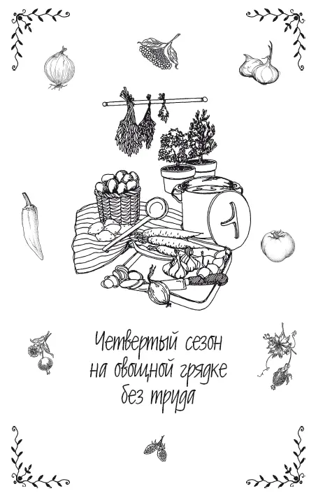 Морковь и лук Морковь 1 Грядку освобождаю от укрытия накануне вече - фото 22