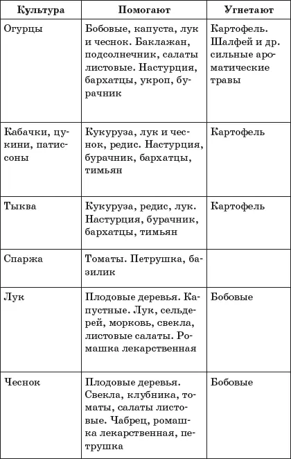 Влияние ароматических трав на рост и развитие растений - фото 12