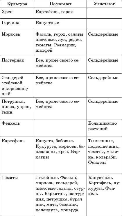 Влияние ароматических трав на рост и развитие растений - фото 14