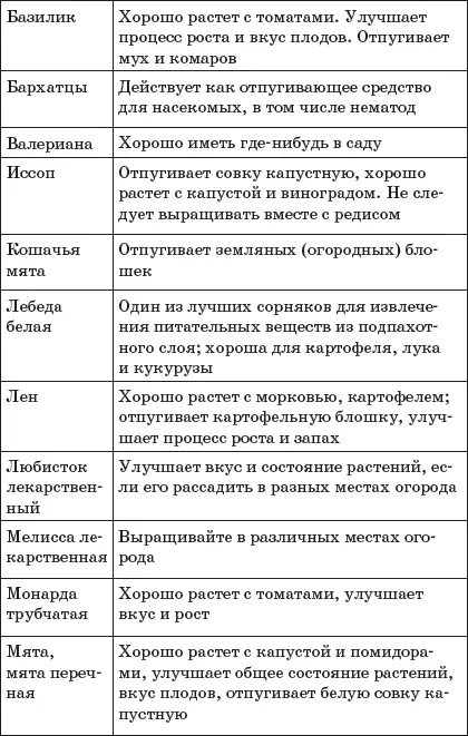 Схемы совместного выращивания овощей на одной грядке Брокколи и морковь Рис - фото 16