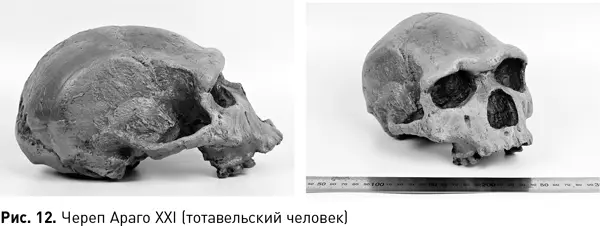 Кстати о нашей с вами изменчивости Есть вещи которые бросаются в глаза цвет - фото 33
