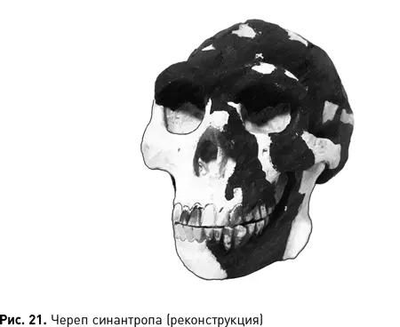Вы спросите откуда все это известно ведь находки исчезли во время войны 2 - фото 55