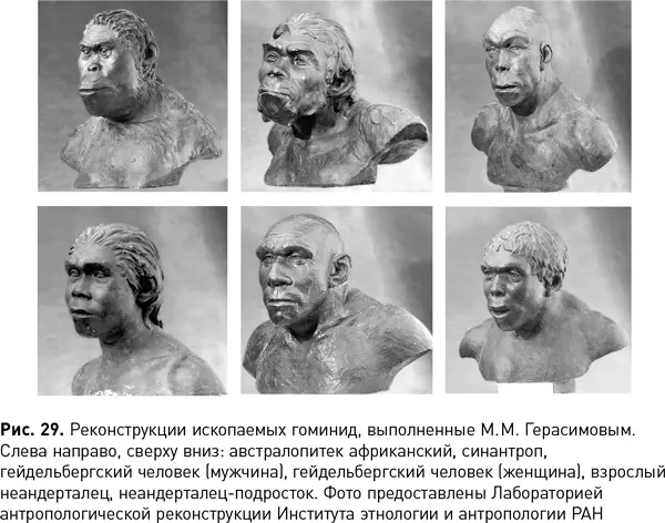 Пример 1939 г На территории Ленинградской области вдали от населенных мест - фото 70