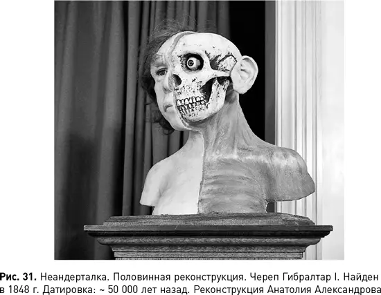 Резюме Миф 30 Вы говорите что это реконструкция нашего далекого предка Да - фото 72