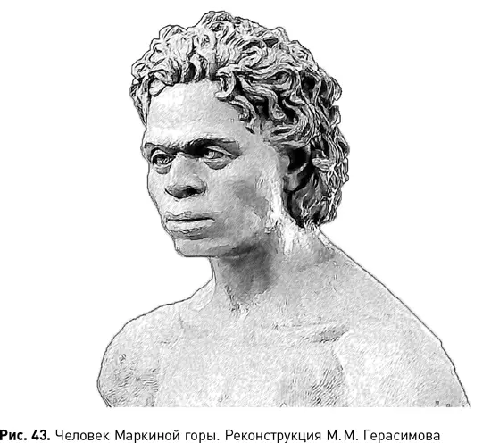 При этом другие три скелета из Костенок хотя и различаются между собой в - фото 99