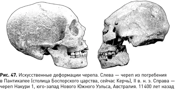 Еще один не менее принципиальный вопрос а могли ли вообще встречаться предки - фото 108