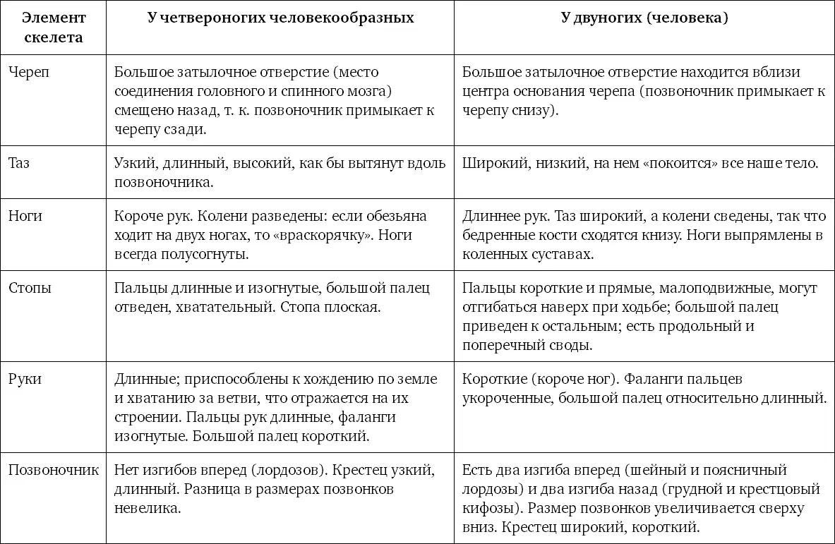 Теперь разберем в хронологическом порядке формирование признаков наших предков - фото 110