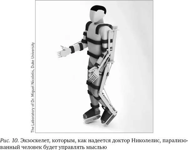 Николелис понимает что прежде чем экзоскелет станет реальностью придется - фото 11