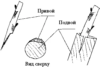 Рис 39 Рис 40 Наверное приживаемость в средней полосе и особенно на - фото 50