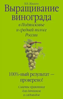 Виктор Жвакин - Выращивание винограда в Подмосковье и средней полосе России