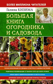 Галина Кизима - Большая книга огородника и садовода. Все секреты плодородия