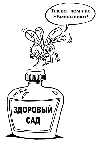 Систематически раз в месяц опрыскивая растения гомеопатическим препаратом - фото 21