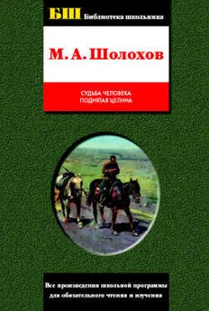 Михаил Шолохов - Поднятая целина