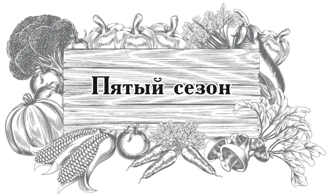 Чеснок лукпорей Озимый чеснок Пятый сезон начнется еще предыдущим летом - фото 23