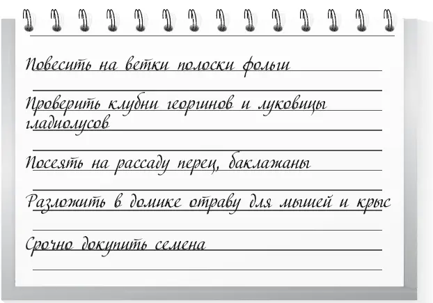 1 Прикрепите полоски фольги на ветки плодовых деревьев и кустов это отпугнет - фото 45