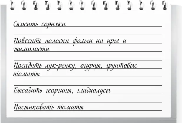 Первая половина месяца 1 При образовании завязей на ягодниках произведите их - фото 53