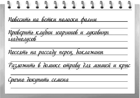1 Прикрепите полоски фольги на ветки плодовых деревьев и кустов это отпугнет - фото 2