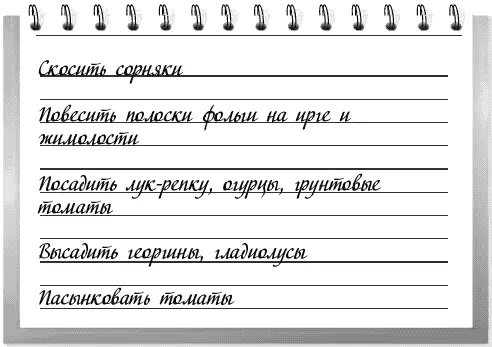 Первая половина месяца 1 При образовании завязей на ягодниках произведите их - фото 6
