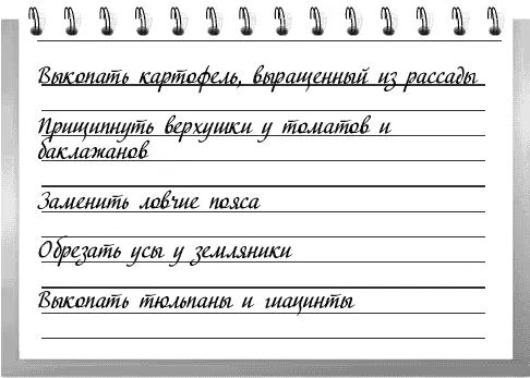 1 В начале месяца копайте картофель выращенный из рассады Повторно окучьте - фото 7