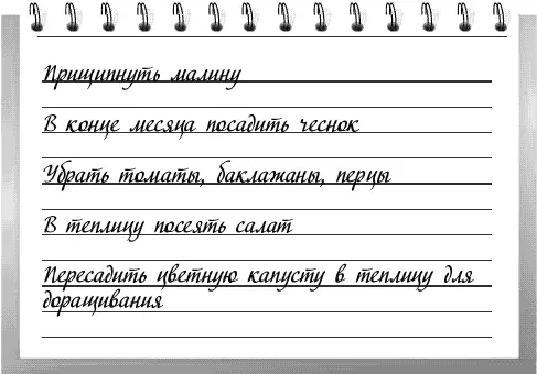 1 Прищипните концы боковых побегов у малины когда они достигнут длины 40 см - фото 8
