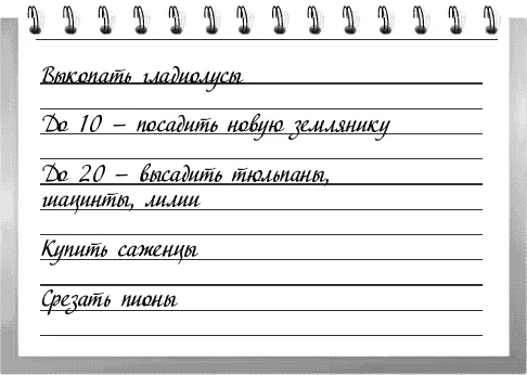 1 В начале месяца срежьте гладиолусы и через две недели выкопайте луковицы - фото 9