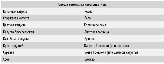 Употребление крестоцветных овощей способствует производству определенного - фото 7