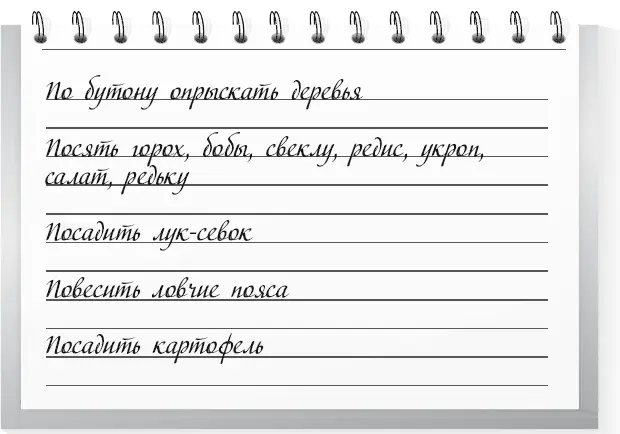 Первая половина месяца 1 В период бутонизации до цветения надо опрыскать - фото 51