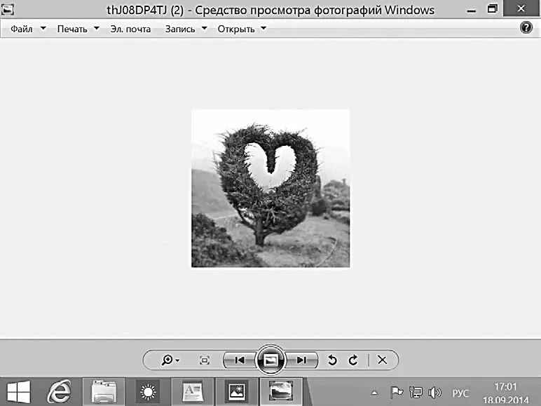 Вот так выглядит ваше фото в программе Просмотр фотографий Windows Чтобы - фото 104