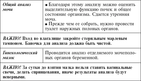 Питание во время беременности Изменение вкусовых предпочтений у будущей мамы - фото 98