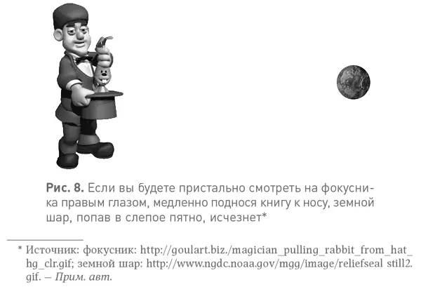 Использование мозгом фокуса с заполнением не ограничивается одним только - фото 8