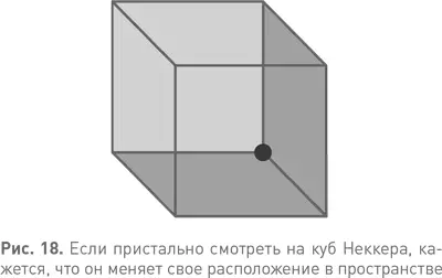 Этот феномен не ограничивается интерпретацией причудливых рисунков Например - фото 18