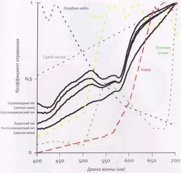 Рис 3 Спектры отражения различных типов человеческой кожи взяты из базы - фото 3
