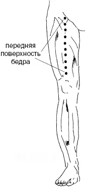 Рис 9 в Рис 9 г Данную зону на голени особо выделяют в Японии В - фото 29