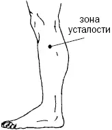 Рис 9 г Данную зону на голени особо выделяют в Японии В древности - фото 30